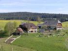 Mooshof - Ihr Ferienbauernhof mitten im Schwarzwald