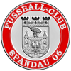 Damenfußballspielerinnen für ein Berliner Verein gesucht!