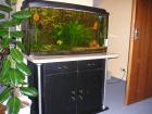 Aquarium 200L - Gebogene Frontscheibe + Zubehör