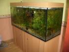 Aquarium 670 l l/b/h = 160/60/70 Unterschrank Abdeckung zu verkaufen