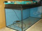 MP Aquarium 160 l  100x40x40