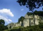 Wandern unter weiß-blauem Himmel im Amberg-Sulzbacher Land