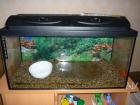 Terrarium 80x35x40 mit Abdeckung