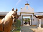 Reiturlaub in Andalusien - Hacienda El Boyal