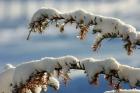 Den Winter im Amberg-Sulzbacher Land genießen