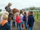 Kindergeburtstag auf dem Bauernhof