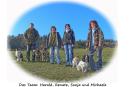 Rund um den Hund Team - Hundeschule, Hundepflege, Mobiler Hundeservice