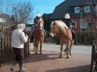 Max ist ein Haflinger- Mix , 13 Jahre  und kerngesund.