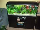 240 L Aquarium (Waterhome), kompl. abzugeben