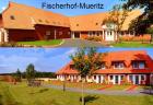 Müritz Ferienwohnung Ferienwohnungen ca. 500m bis zur Müritz inmitten der Natur