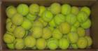 Tennisbälle Tennisball Hundeball Ballschleuder