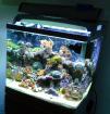 Meeresaquarium - Red Sea Max 130l