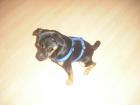 Mops/Pinscher Mix 7 Monate