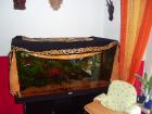 300 liter aquarium mit schrank....