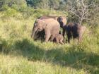    Sri Lanka auf  neuen Wegen  zu  Entdecken.  