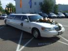 Stretchlimousine für jeden Anlaß wie Hochzeit Urlaub Disco und vieles mehr