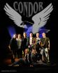 Top 40 Partyband CONDOR aus Thüringen