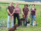 Rund um den Hund Team - Hundeschule,- Pflege,- Service