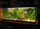 450L Aquarium komplett mit viel Zubehör