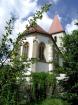 Amberg-Sulzbach: Wanderung durch das Tal der blauen Blumen