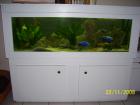 Komplettes Aquarium mit Schrank, Technik und Besatz, 150x50x50cm (375l)