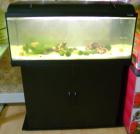 160 L Komplett Aquarium zu verkaufen !