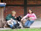 Australian Shepherd Familienzucht Zwinger:  moorhouse horse and dogs 