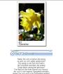  Kostenloses Blumen - Tarot mit Tonausgabe  . . . .