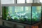 Aquarium Silber und 750 liter - Fast NEU