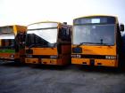 Iveco Linienbusse  !!! 30 Stück lieferbar !!!