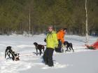 Schlittenhunde-Abenteuer in Finnland