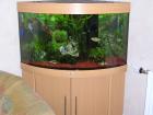 Juwel Eckaquarium 190L