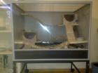 Nagerterrarium Vivario 80 antik mit 2 Raten