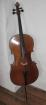 Violoncello 1/2 Cello, französisch