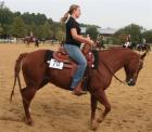 Toller QH-Wallach, ready to show