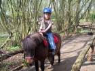 Wir sponsern 3 Kindern einen tollen Urlaub auf dem Ponyhof