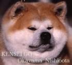 AKITA INU - Japan akita welpen nach JAPAN import