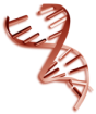 DNA - Test Hunde Familie