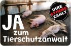 JA zum Tierschutzanwalt