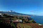 Apartment El Teide in La Matanza im Norden von Teneriffa 