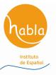 Instituto de Espa ol -- habla --