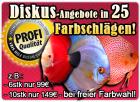 6 Stk nur 99EUR | 25 Farbschläge | Freie Farbwahl!