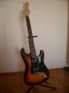 Fender Standard Strat HH Electric Guitar (Rosewood, mit Fender Gig Bag)