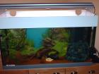 Aquariun 250 liter usw.