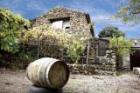 Ferienhaus Casa Rosalinde auf Teneriffa