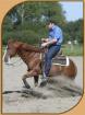 Training / Beritt Westernreiten FRÜHLINGSAKTION!