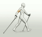 Neue Nordic-Walking Kurse ab Samstag, den 17.April2021