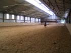 Www.go-WESTerbroek.de , Horsestables Künstler ,47638 Straelen