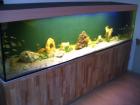 Aquarium mit den maßen 250x60x60 900l komplett