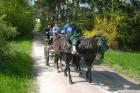 Kleine Hufeisen      Fahren 